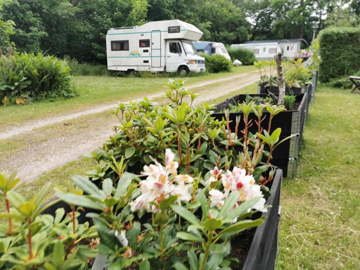 Frederiksvaerk Camping & Hostel Exteriér fotografie