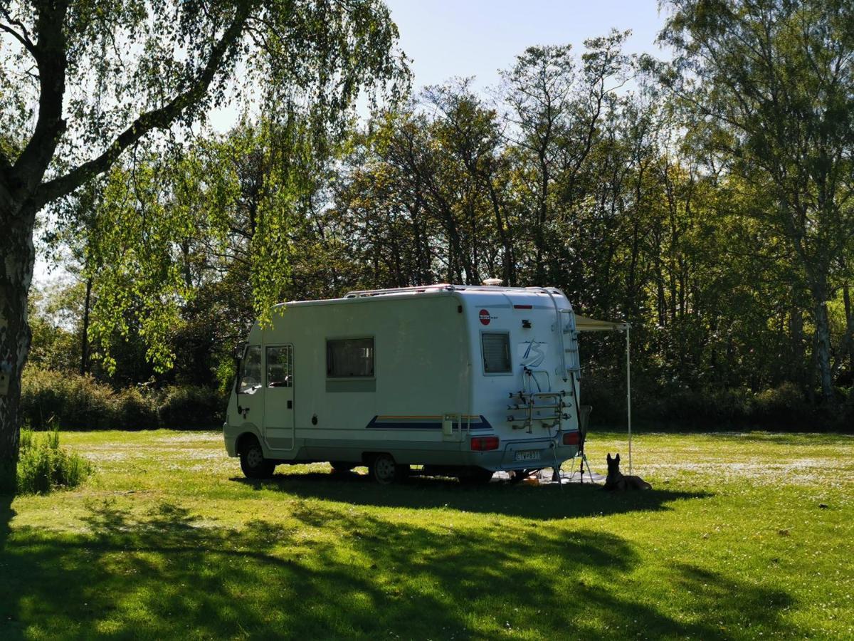 Frederiksvaerk Camping & Hostel Exteriér fotografie