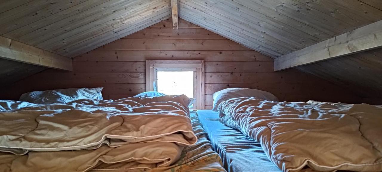Frederiksvaerk Camping & Hostel Exteriér fotografie