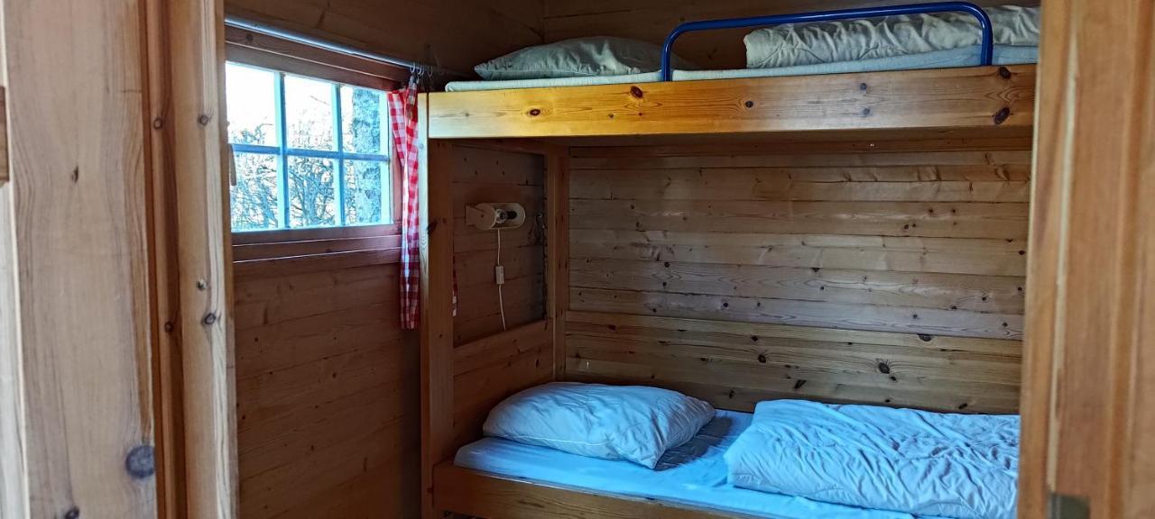 Frederiksvaerk Camping & Hostel Exteriér fotografie